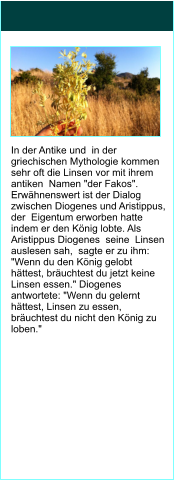 In der Antike und  in der griechischen Mythologie kommen sehr oft die Linsen vor mit ihrem antiken  Namen "der Fakos". Erwhnenswert ist der Dialog zwischen Diogenes und Aristippus, der  Eigentum erworben hatte indem er den Knig lobte. Als  Aristippus Diogenes  seine  Linsen auslesen sah,  sagte er zu ihm: "Wenn du den Knig gelobt httest, bruchtest du jetzt keine Linsen essen." Diogenes antwortete: "Wenn du gelernt httest, Linsen zu essen, bruchtest du nicht den Knig zu loben."