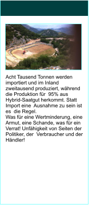 Acht Tausend Tonnen werden importiert und im Inland zweitausend produziert, whrend die Produktion fr  95% aus Hybrid-Saatgut herkommt. Statt Import eine  Ausnahme zu sein ist es  die Regel. Was fr eine Wertminderung, eine Armut, eine Schande, was fr ein Verrat! Unfhigkeit von Seiten der  Politiker, der  Verbraucher und der Hndler!